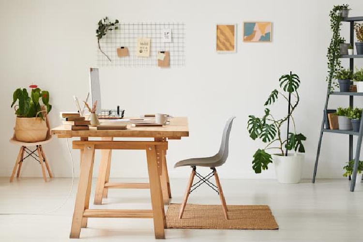 Encuentra la cantidad ideal de objetos decorativos en tu oficina